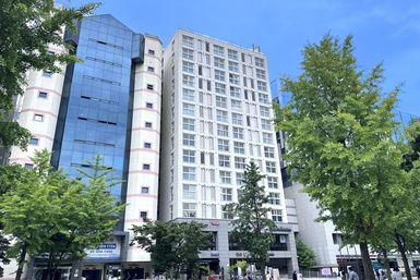 DS라르